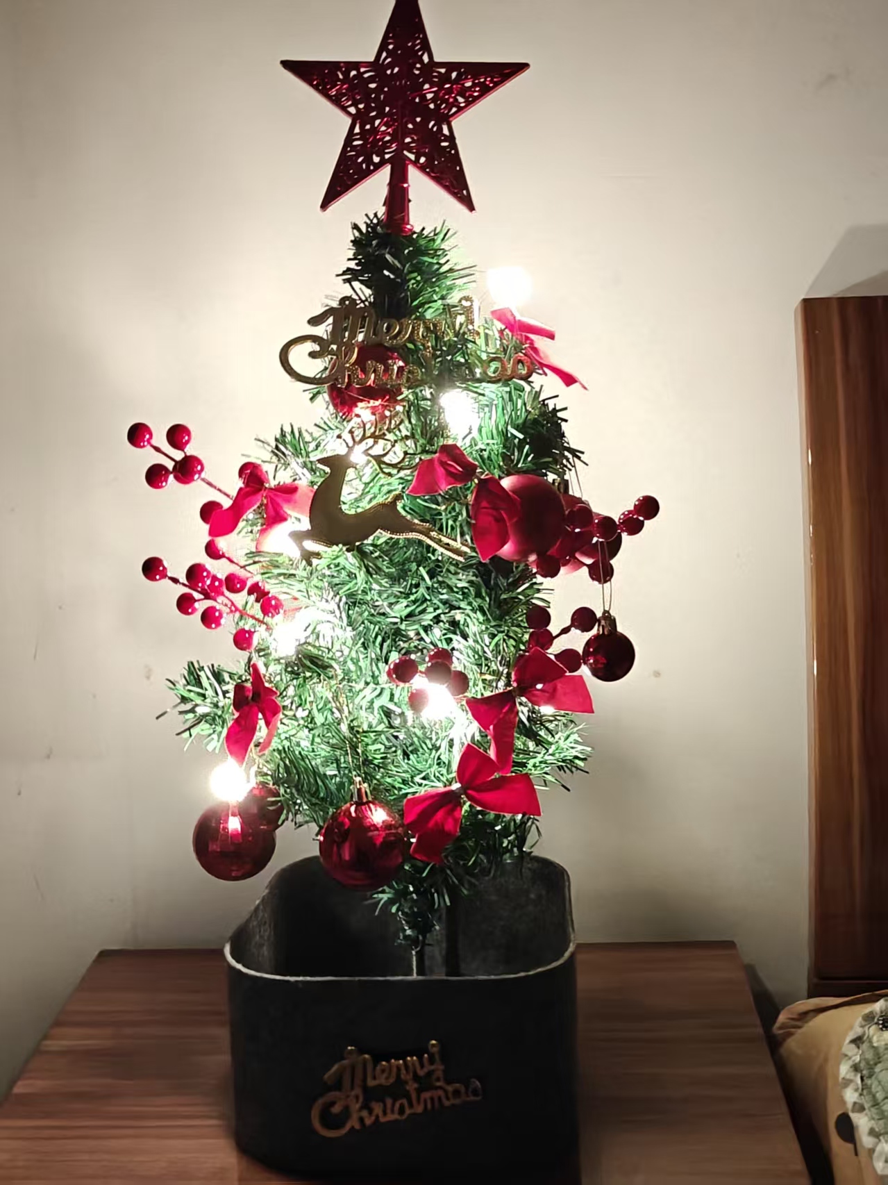 同桌送我的圣诞树